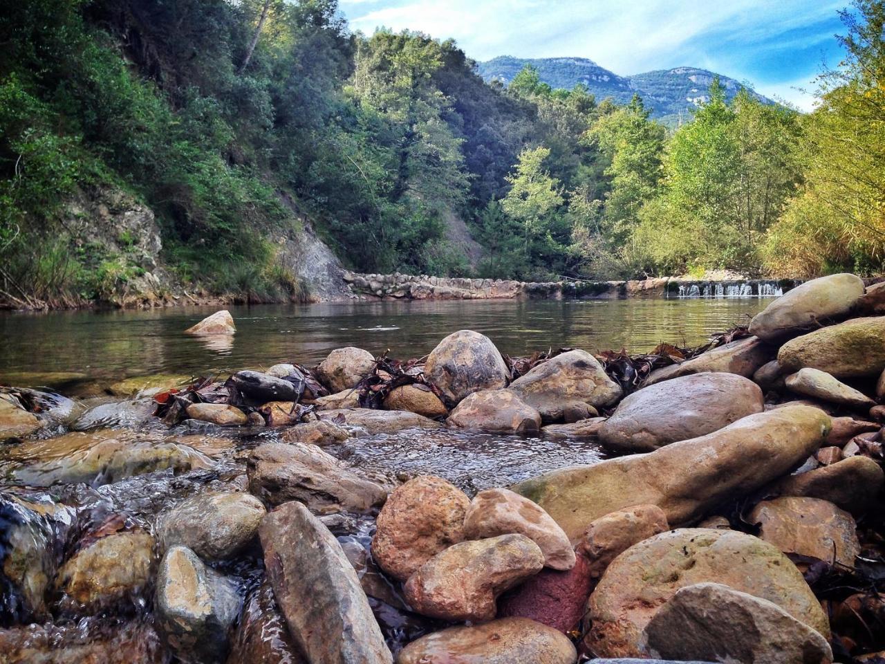 Camping Bassegoda Park Hotell Albanya Exteriör bild